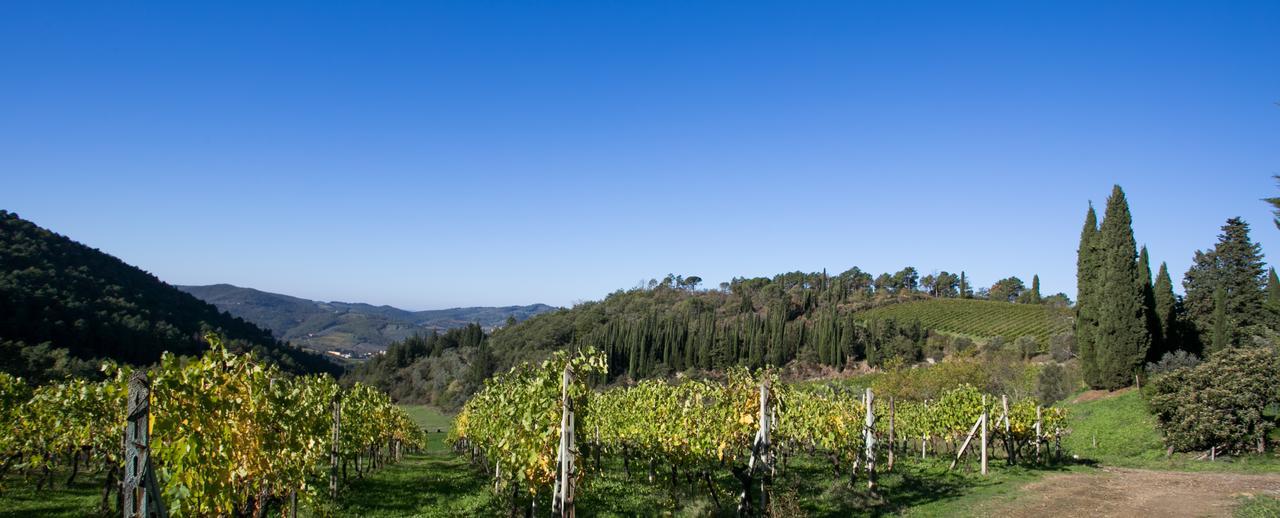 Casa Marina Apartment Greve in Chianti Exterior photo